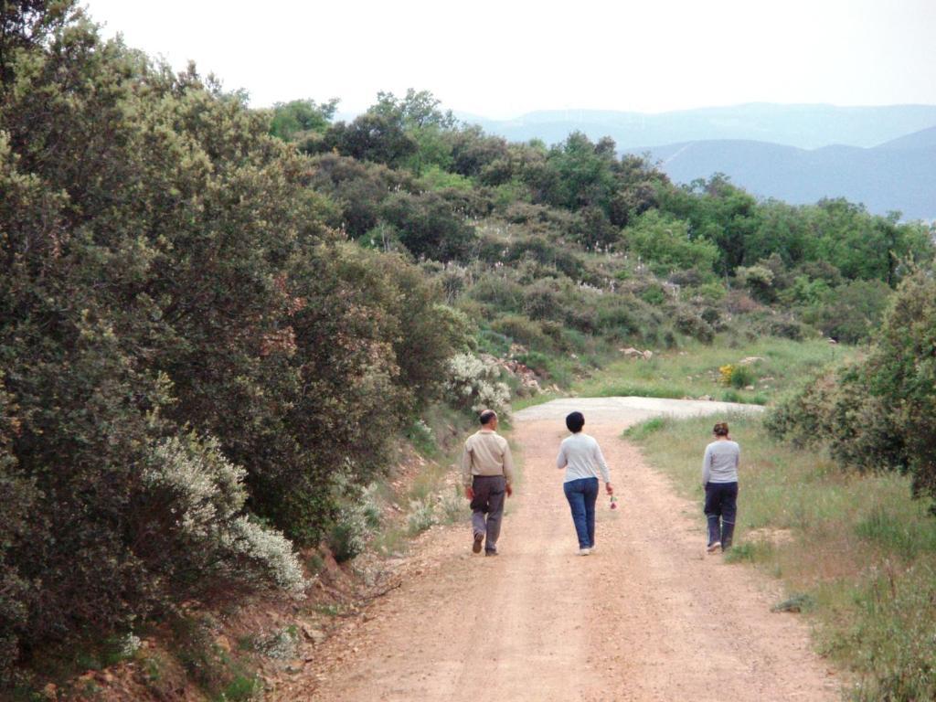 Los Laureles Casa Rural Urda Екстериор снимка