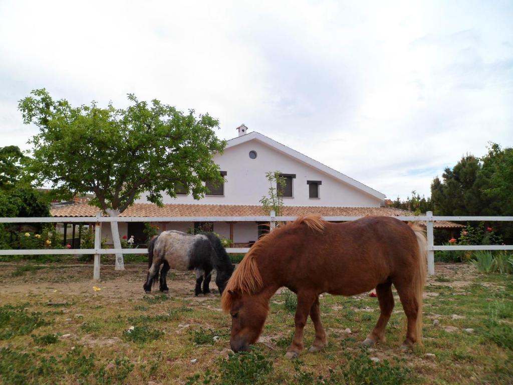 Los Laureles Casa Rural Urda Екстериор снимка